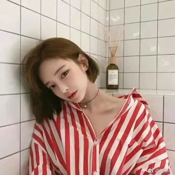 森林奇缘